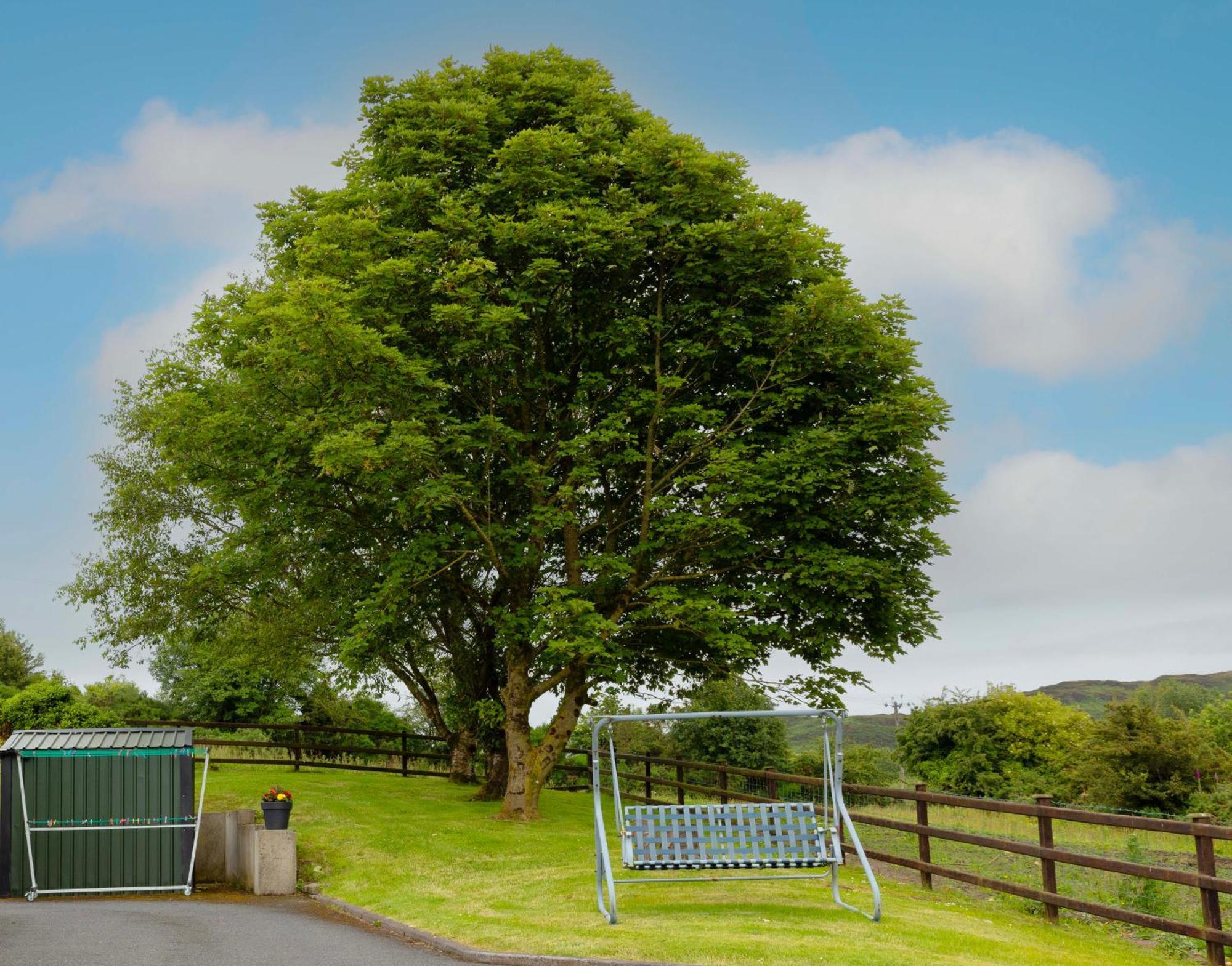 Ferienwohnung Mountain Nest At The Foot Of Slieve Gullion Cloghoge Exterior foto